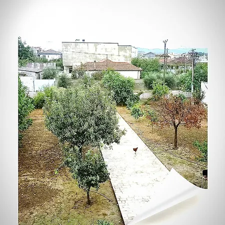Maria For Rent Feeling Durres